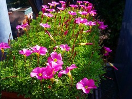 20151115_135903.jpg