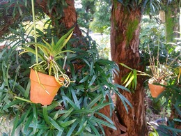 20151115_140104.jpg
