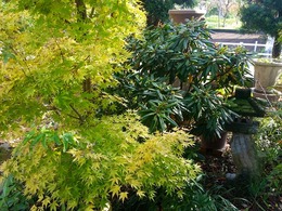 20151115_140219.jpg