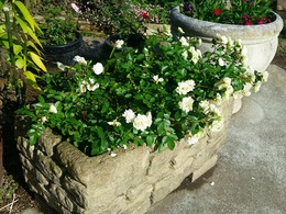 20151115_140659.jpg