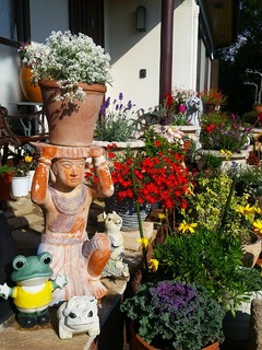 20151115_141140.jpg