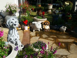20151115_141639.jpg