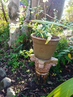20151115_142252.jpg