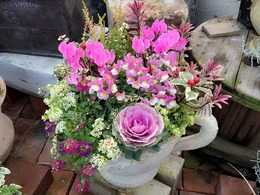 20151226183010.jpg