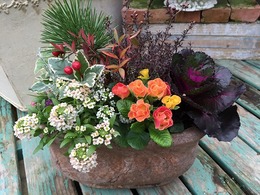 20151226190002.jpg