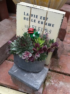 20151226190712.jpg
