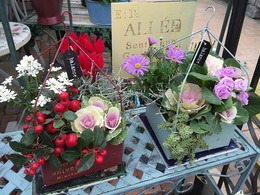 20151226192022.jpg