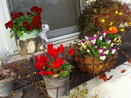 20151226_145100.jpg
