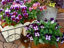 20151226_152114.jpg
