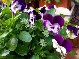 20151226_152142.jpg
