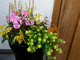20151226_154150.jpg