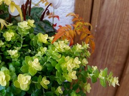 20151226_154223.jpg