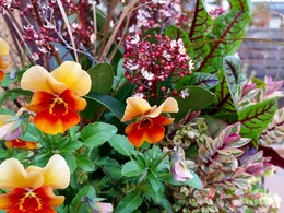 20151226_154457.jpg