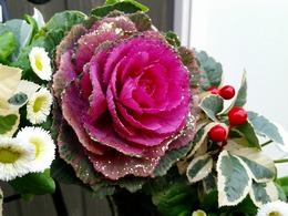 20151226_154836.jpg