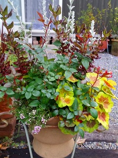 20151226_155318.jpg
