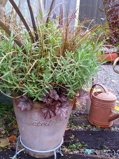 20151226_160115.jpg