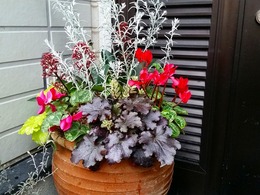 20151226_161220.jpg