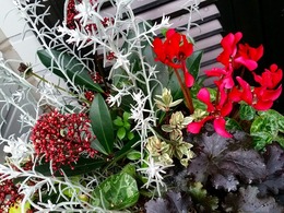 20151226_161247.jpg