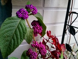 20151226_161432.jpg