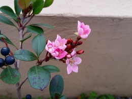 20151226_162137.jpg