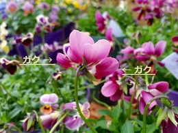 20160201_14023802.jpg