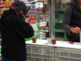20160210110000.jpg