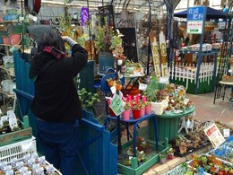 20160210110510.jpg