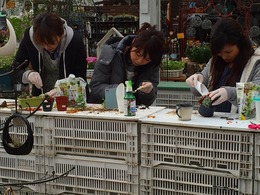 20160210111530.jpg