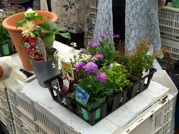 20160213100205.jpg