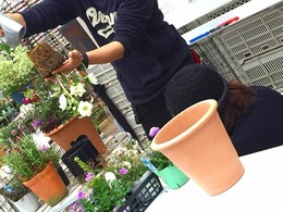 20160213100507.jpg