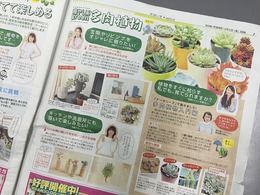 20160303181020.jpg