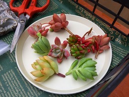 20160313111010.jpg