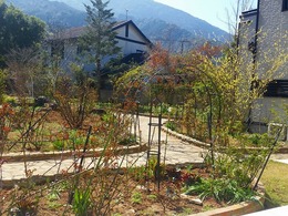 20160317_104641.jpg