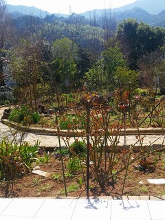 20160317_104648.jpg