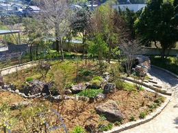 20160317_104801.jpg