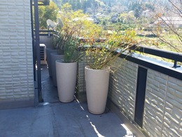 20160317_104921.jpg