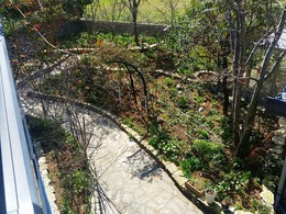 20160317_104938.jpg