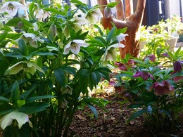 20160317_105209.jpg