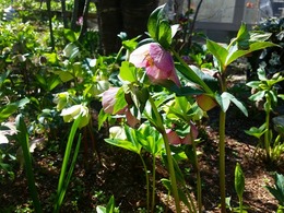 20160317_105346.jpg
