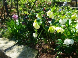 20160317_105444.jpg