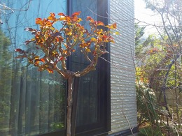 20160317_105628.jpg