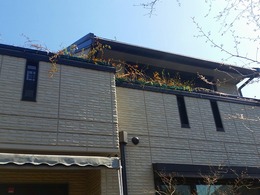 20160317_105642.jpg