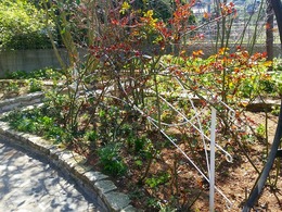 20160317_105730.jpg