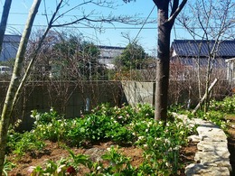 20160317_105818.jpg