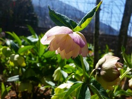 20160317_105842.jpg