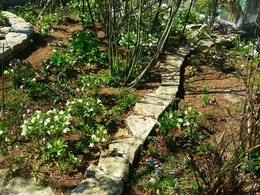 20160317_105906.jpg