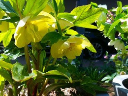 20160317_105945.jpg