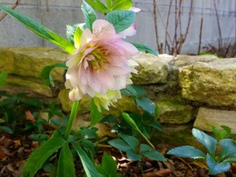 20160317_110018.jpg