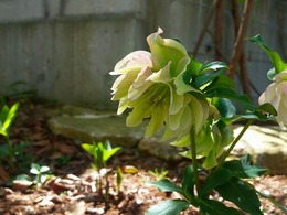 20160317_110053.jpg