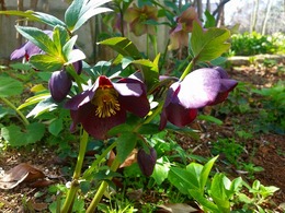 20160317_110108.jpg